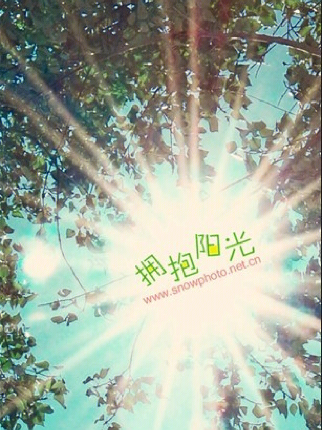 正能量无遮挡软件_贾德特制能量源无cd_cf刷枪软件免费无激活