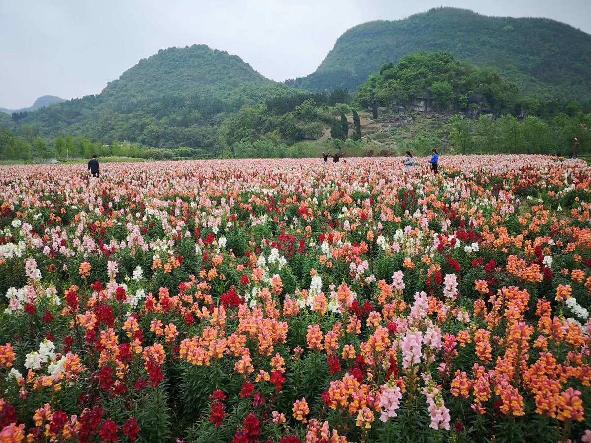 花间app_花间app_花间app