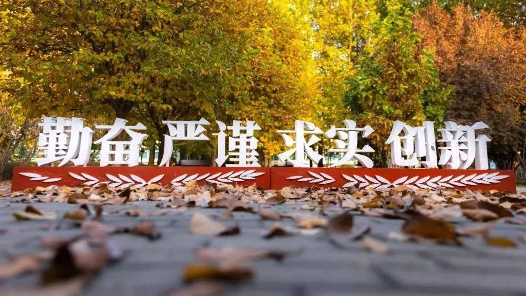 青云法师简介_四法青云_青云法考