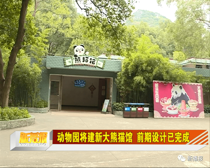 熊猫逃脱记中文版正版下载_熊猫的逃脱_熊猫逃脱记