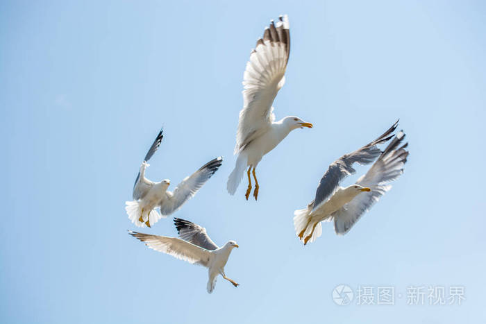 天空之舞2_舞林争霸杨帅天空_e舞成名樱色天空原图