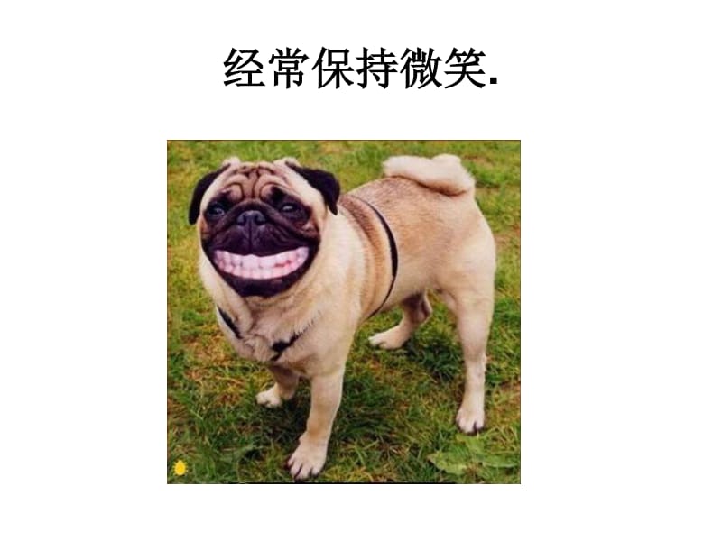 搞笑手机游戏183_搞笑手机游戏183关怎么过_搞笑手机游戏排行榜
