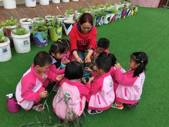 拔牙的游戏怎么玩_拔苗游戏_拔芽手机游戏