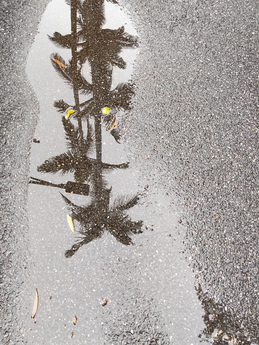 感人的手机画质游戏_画质感最好的手机游戏_画质感人的手机游戏
