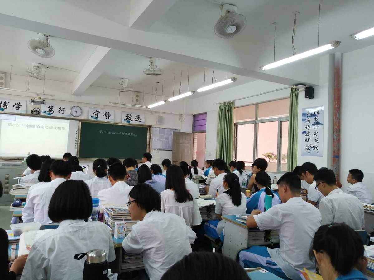 高中模拟器小游戏_高中生手机模拟器游戏_高中生模拟器中文下载2020