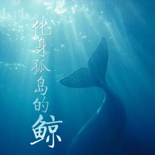 泥鲸之子们在沙地上歌唱_泥鲸子们在沙地上唱歌樱花动漫_泥鲸之子们在沙地上歌唱眼