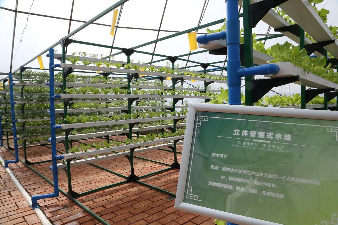 亚龙湾哪个酒店沙滩最好_亚龙湾热带天堂森林公园_龙亚