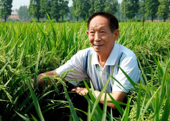 袁隆平电影_电影袁隆平的观后感1000字_电影袁隆平的观后感