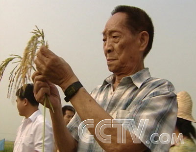 电影袁隆平的观后感_袁隆平电影_电影袁隆平的观后感1000字