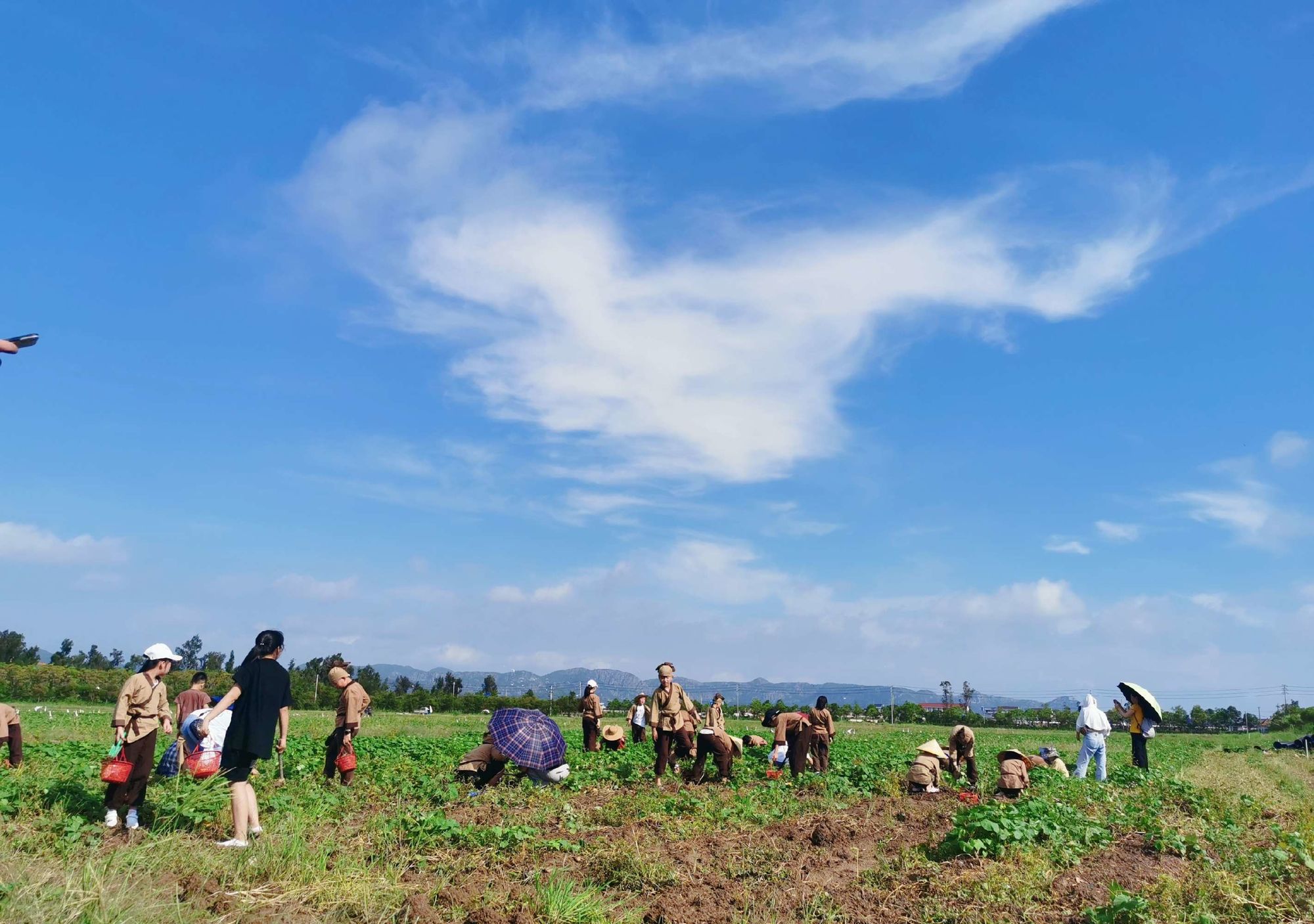 高自由度手机种田游戏_种田的游戏手游_种田游戏手机