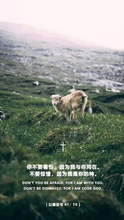 圣经电子版免费版_圣经电子版_恐怖的胃酸疾病疗愈圣经电子版