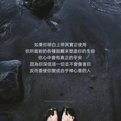 圣经电子版免费版_恐怖的胃酸疾病疗愈圣经电子版_圣经电子版