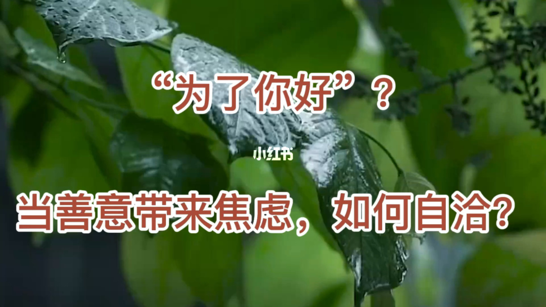 林敬言_林敬言方锐_林敬言身高