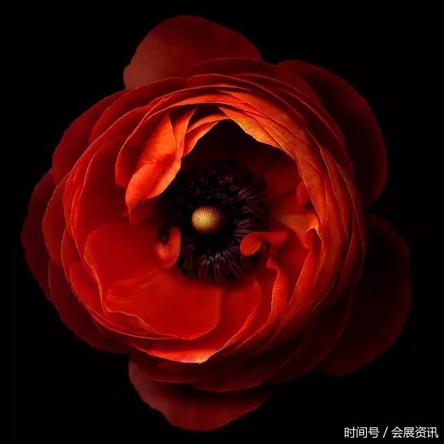 梶原一骑-成为顶尖摄影师：技术、观察、创意与风格