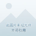 犯错后果游戏_犯错的后果游戏手机版_后果犯错版手机游戏怎么办