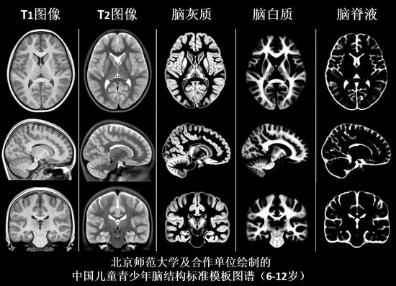 1岁半孩子玩手机游戏好吗_玩手机好游戏孩子怎么办_玩手机好游戏孩子怎么教育