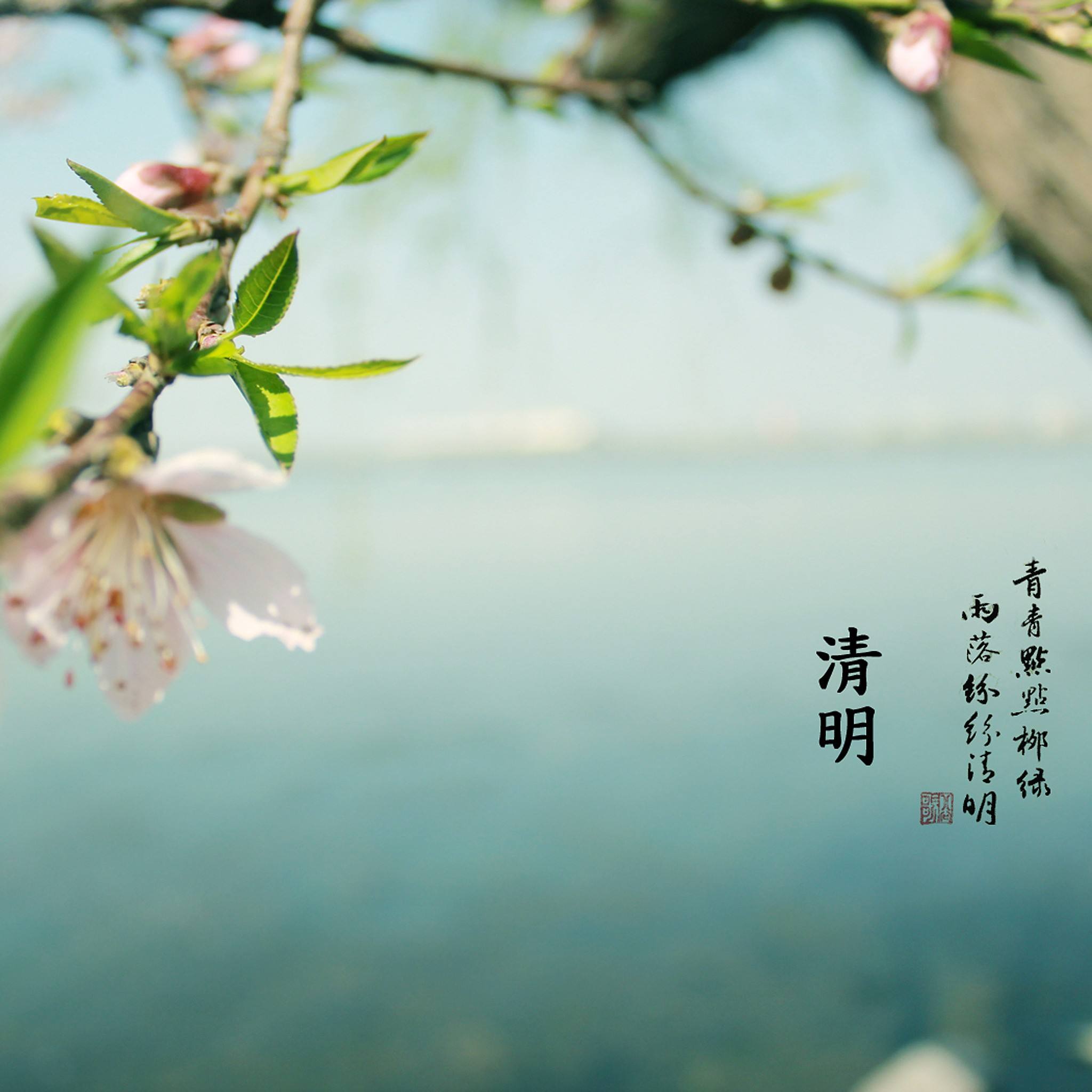 2019假日_假日2014_假日2024