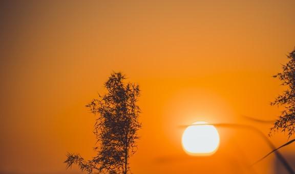 小除夕_除夕小练笔_除夕小片段