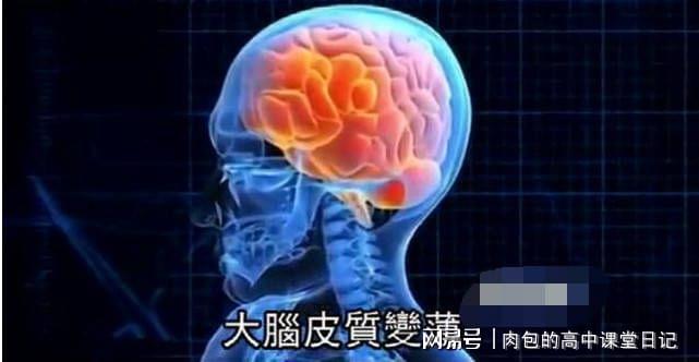 高中生爱玩手机游戏怎样解决_高中生玩手机游戏缓解压力_高三学生玩游戏减压