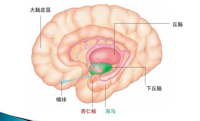 回头看的游戏_别回头手机游戏_回头看游戏规则
