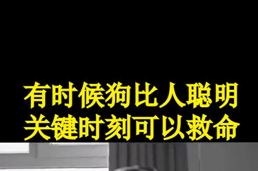 打游戏时候手机变卡了_手机玩游戏变卡_变卡打时候手机游戏没声音