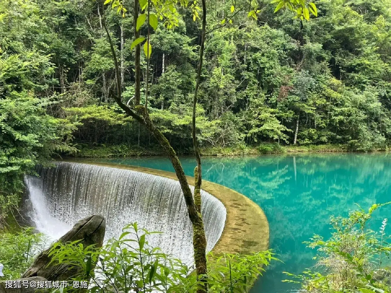 仿真模拟大自然游戏手机版_自然模拟器_自然模拟器游戏手机版