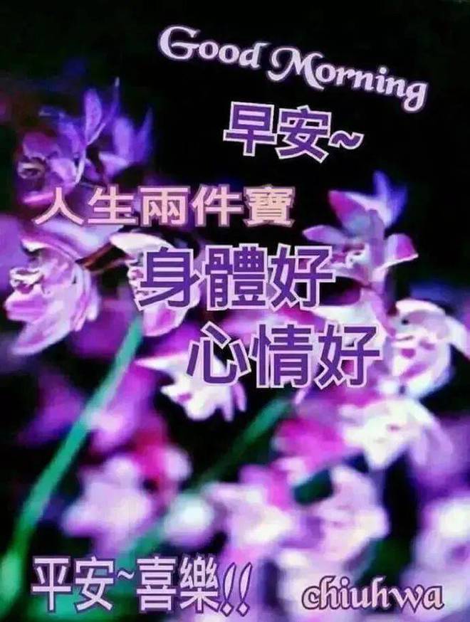 佛诞日是哪一天_佛的一天_佛诞日的意义