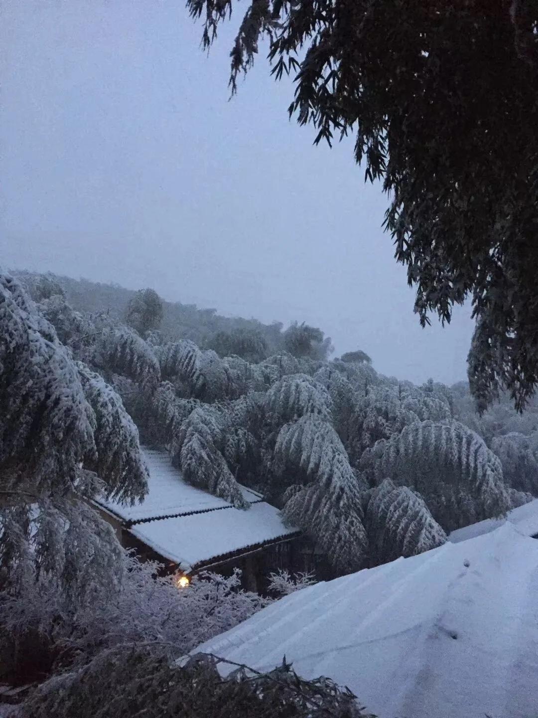 阶堂是什么意思_二阶堂真红台词_二阶堂真红