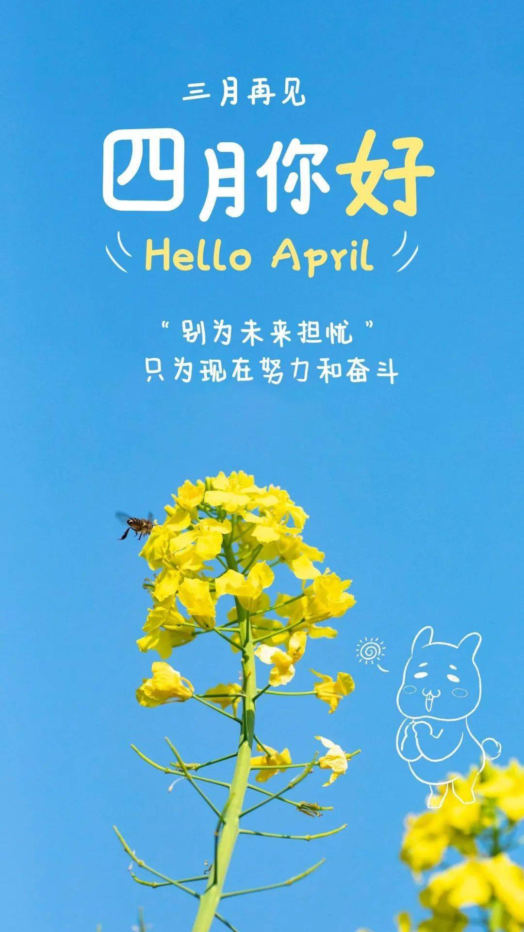 3月13日是什么日子-3 月 13 日，承载情感与回忆的特别