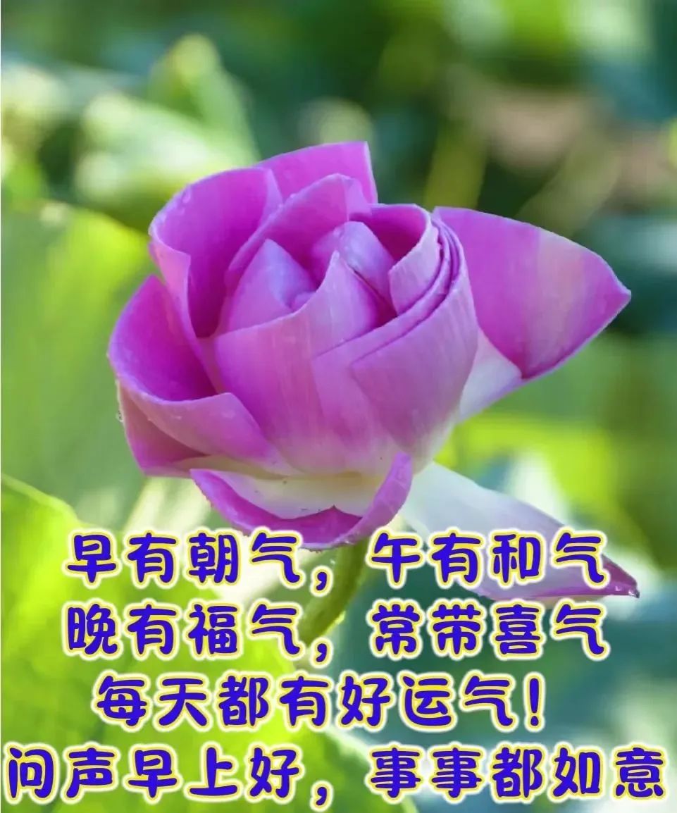 2020年8月_那年有润月年_月年2023年