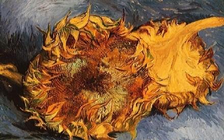凡高简介_凡高资料_凡高简介及绘画作品欣赏