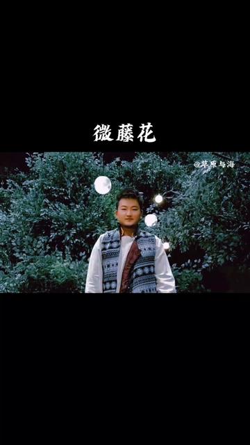 音频驱动程序怎么安装_音频驱动程序_音频驱动程序英文