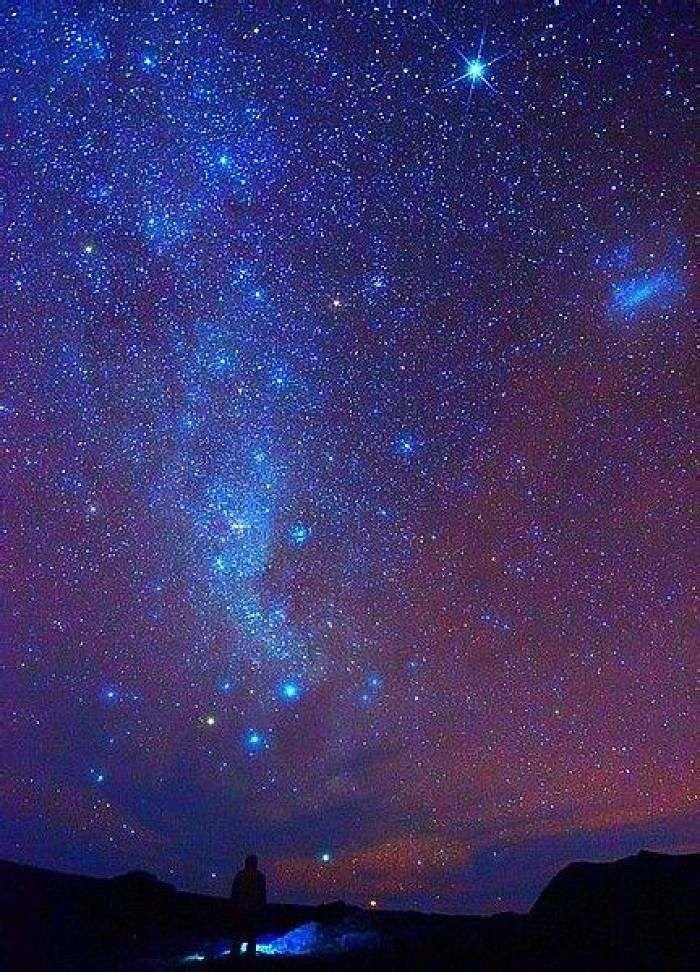 繁星花落手机游戏_繁星安卓汉化手机游戏大全_繁星手机游汉化安卓直装游戏