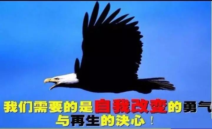 日子今天好吗_什么日子今天_今天什么日子