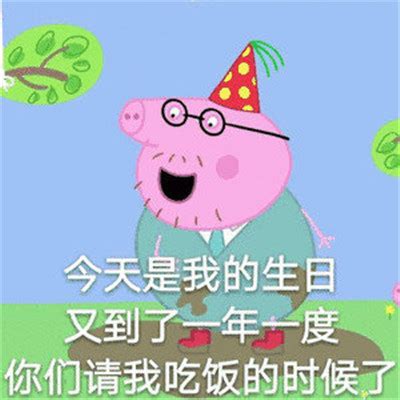 赤濑尚子_赤濑尚子_赤濑尚子