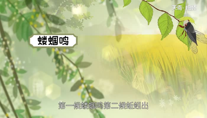 立夏三候_立夏三候_立夏三候