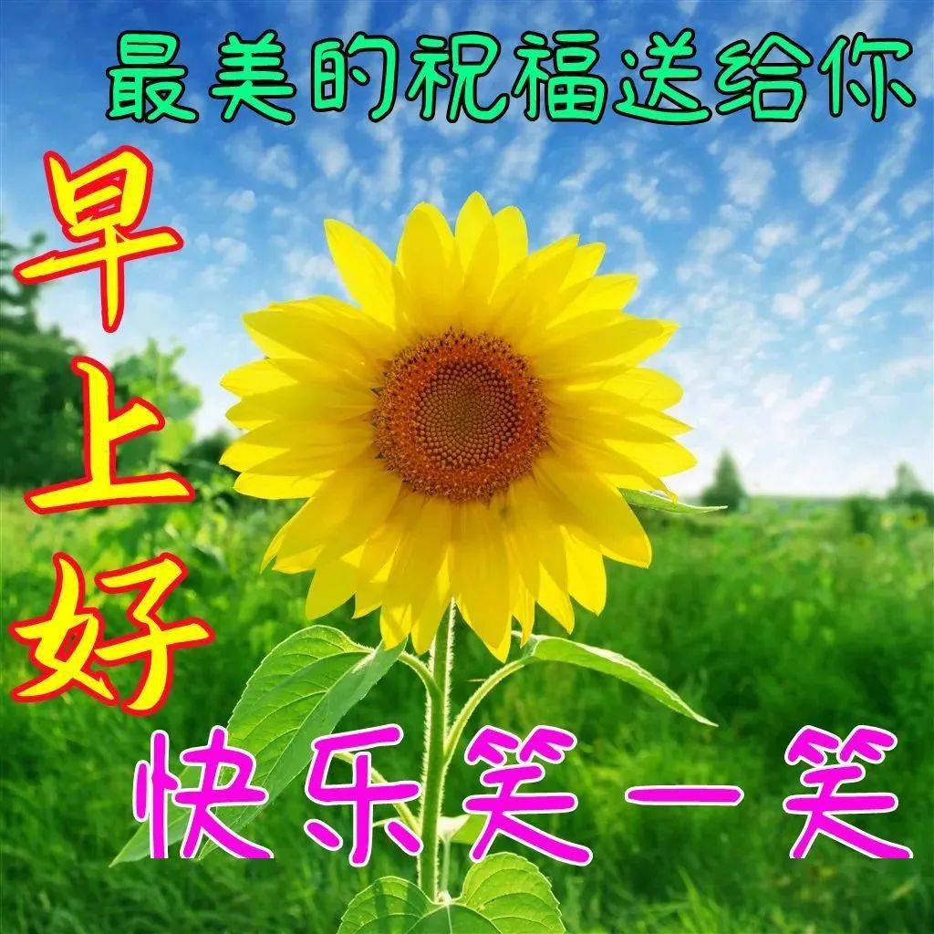 打字的英文_打字英文怎么写_打字英文字母空格很宽