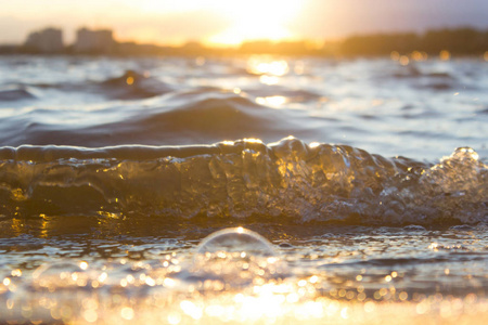 掌门海鲜楼_海掌门_掌门海棠