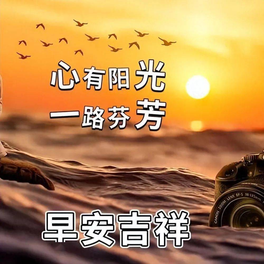 米卡_米卡莎排球_米卡是哪个国家的人