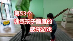 前庭觉游戏家庭,培养孩子平衡力与空间感知的趣味时光