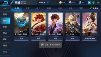 王者荣耀极光辅助 