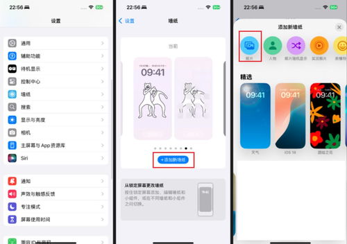 鱼池动态壁纸(锦鲤动态壁纸) 