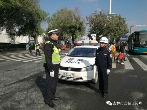 怪物交警 