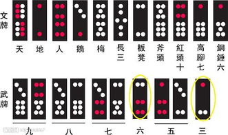 牌九p9cc,揭秘牌九游戏的魅力与技巧