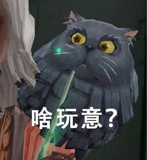社死小游戏,笑出腹肌的欢乐时光